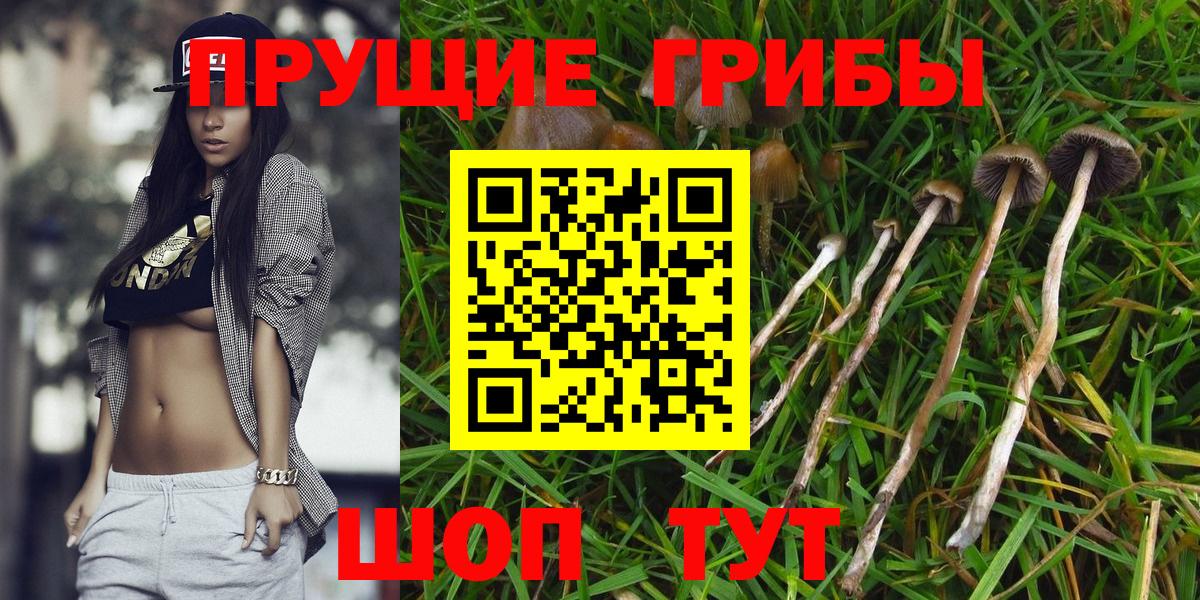 Галлюциногенные грибы мицелий Рязань