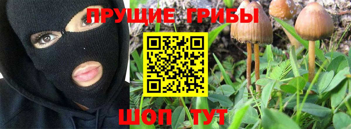 Галлюциногенные грибы MAGIC MUSHROOMS  Вход с VPN  цена   Рязань 